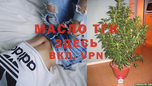 гидра Абаза