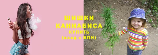 гидра Абаза