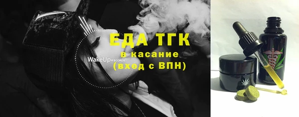 гидра Абаза