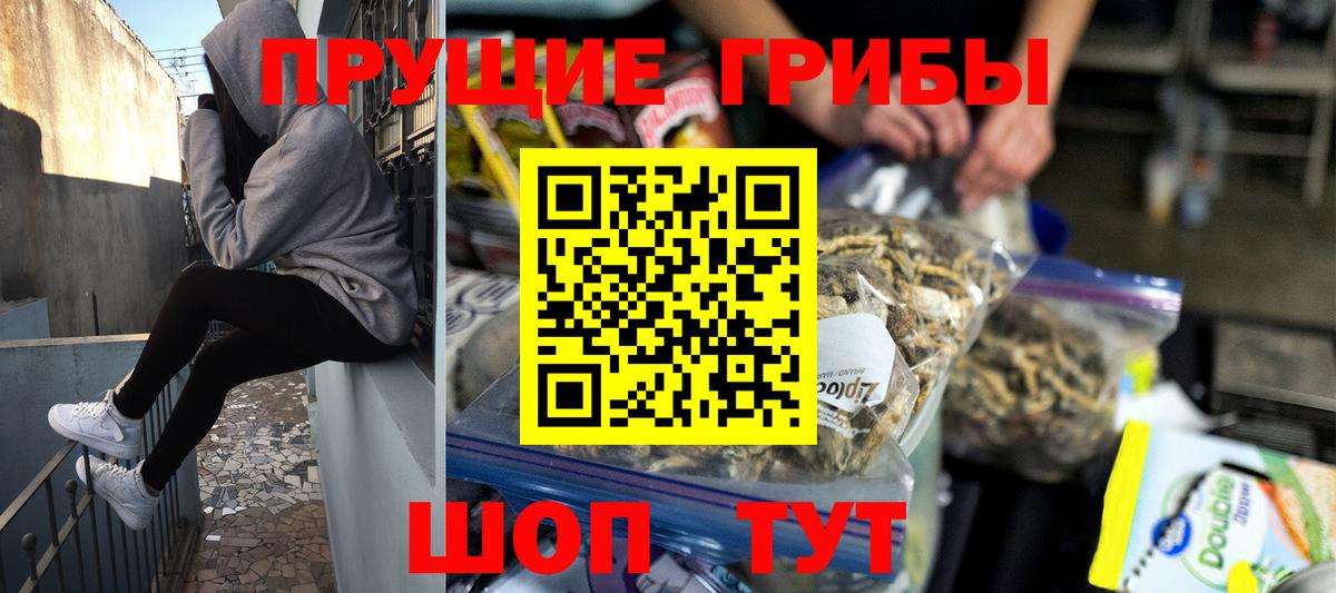 Костомукша  Псилоцибиновые грибы Psilocybine cubensis  Вход с VPN 